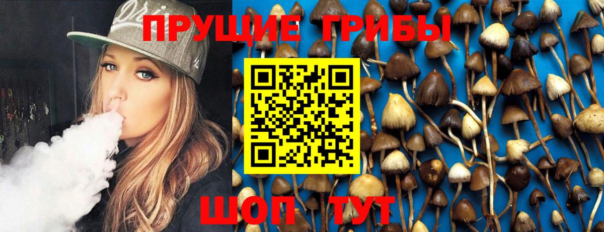 Псилоцибиновые грибы мухоморы Качканар